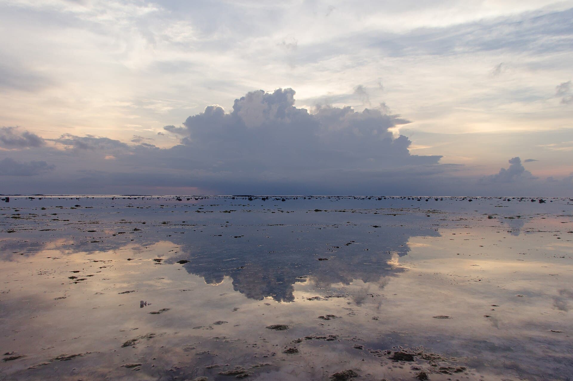 When Copper Goes Global: Amman Mineral's Rise and Lombok's Economic Gravity