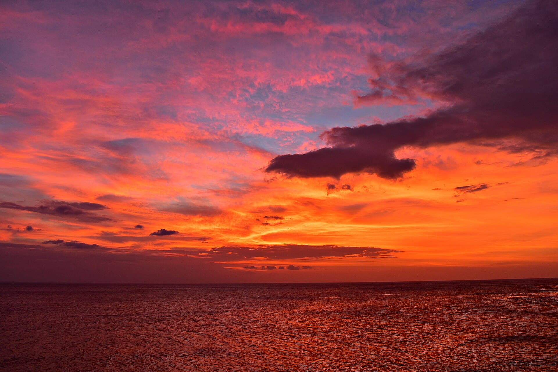 Food Security Policy and Property: How Bulog Investment Reshapes Lombok Land Values