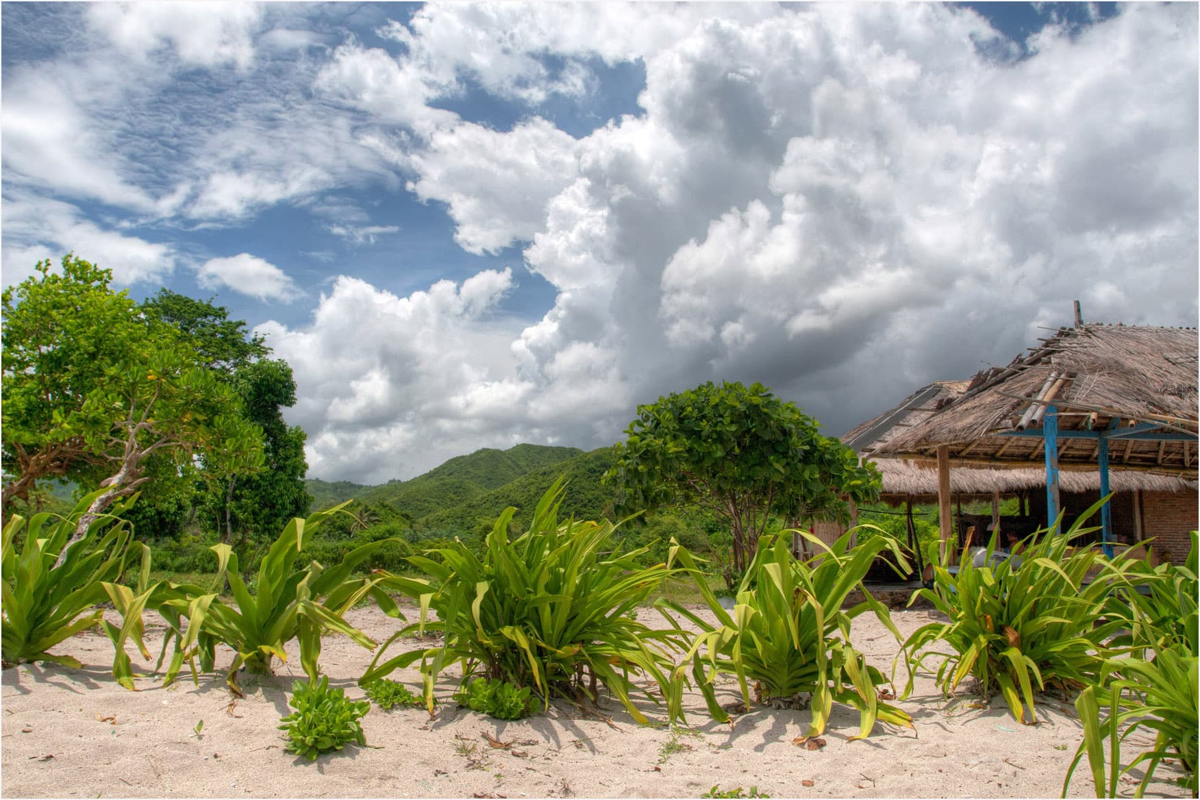 Indonesia’s export overhaul: what it could mean for Lombok investors