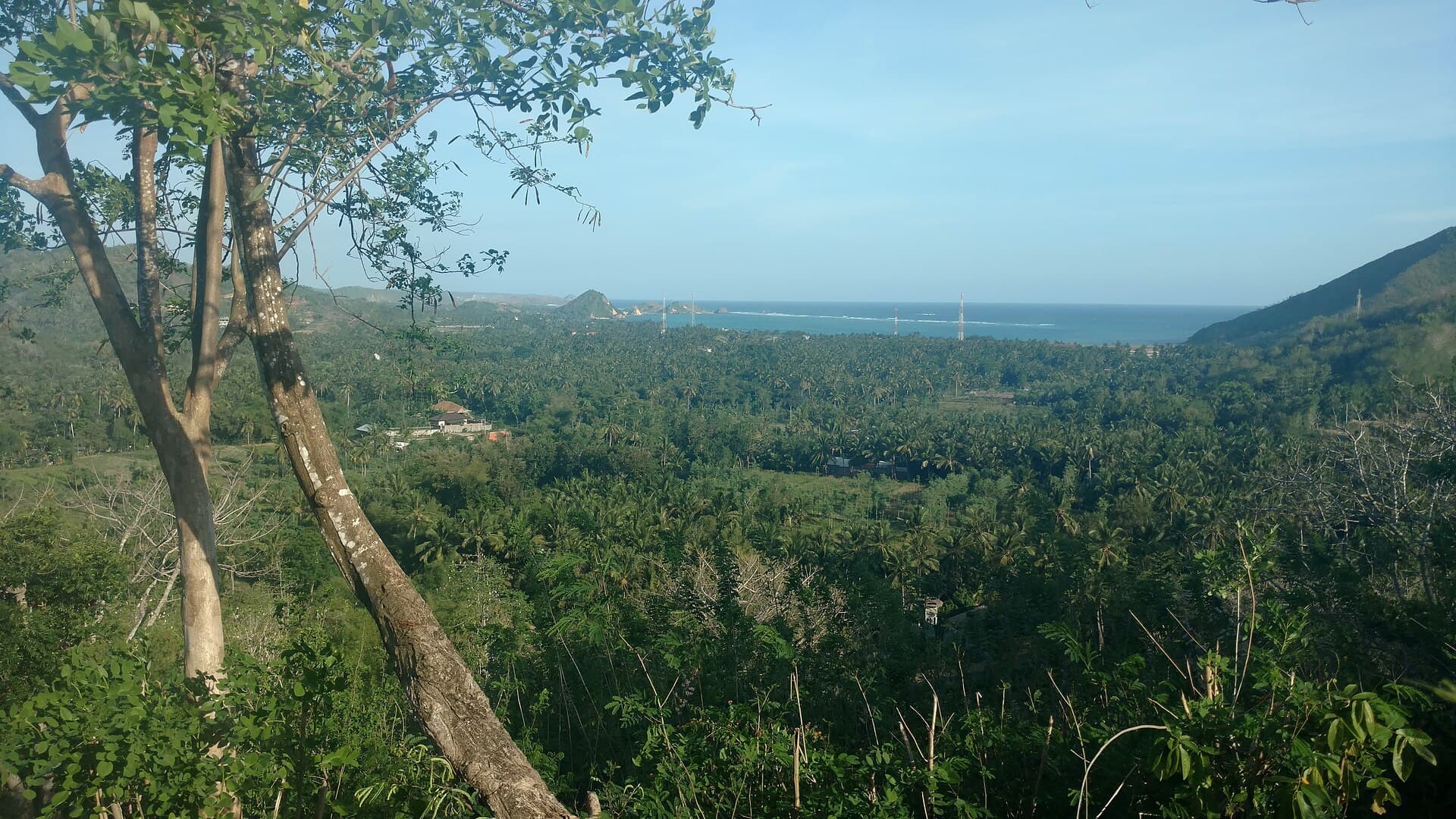 New Direct Flights to Lombok: How Airport Connectivity Drives Property Investment Returns