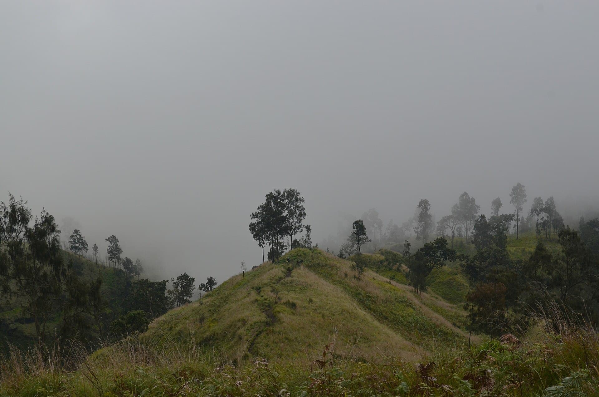 Rupiah Weakness and Export Strength: The Lombok Property Paradox Explained