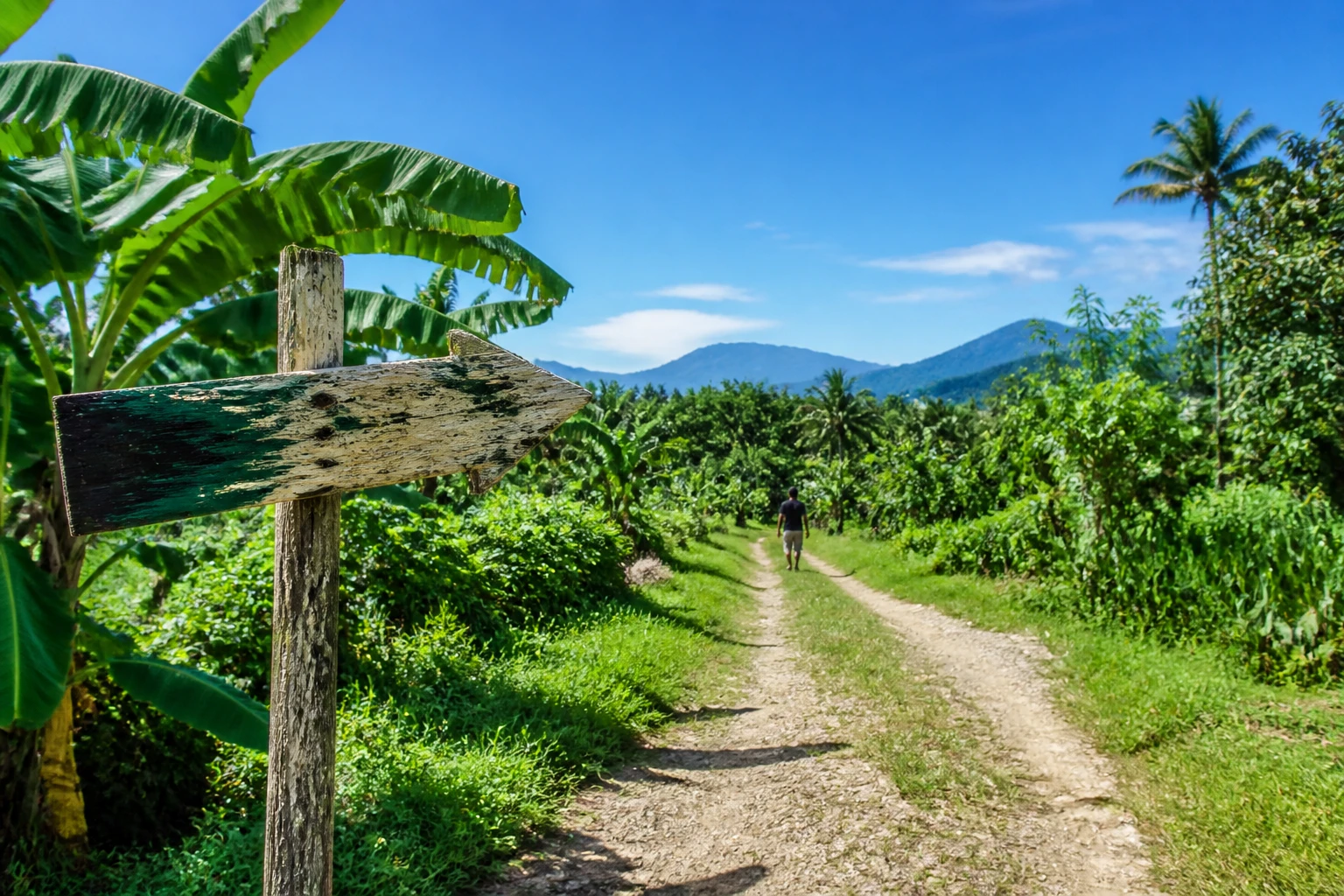 Access roads and right-of-way for Lombok land: the deal-breaker buyers miss