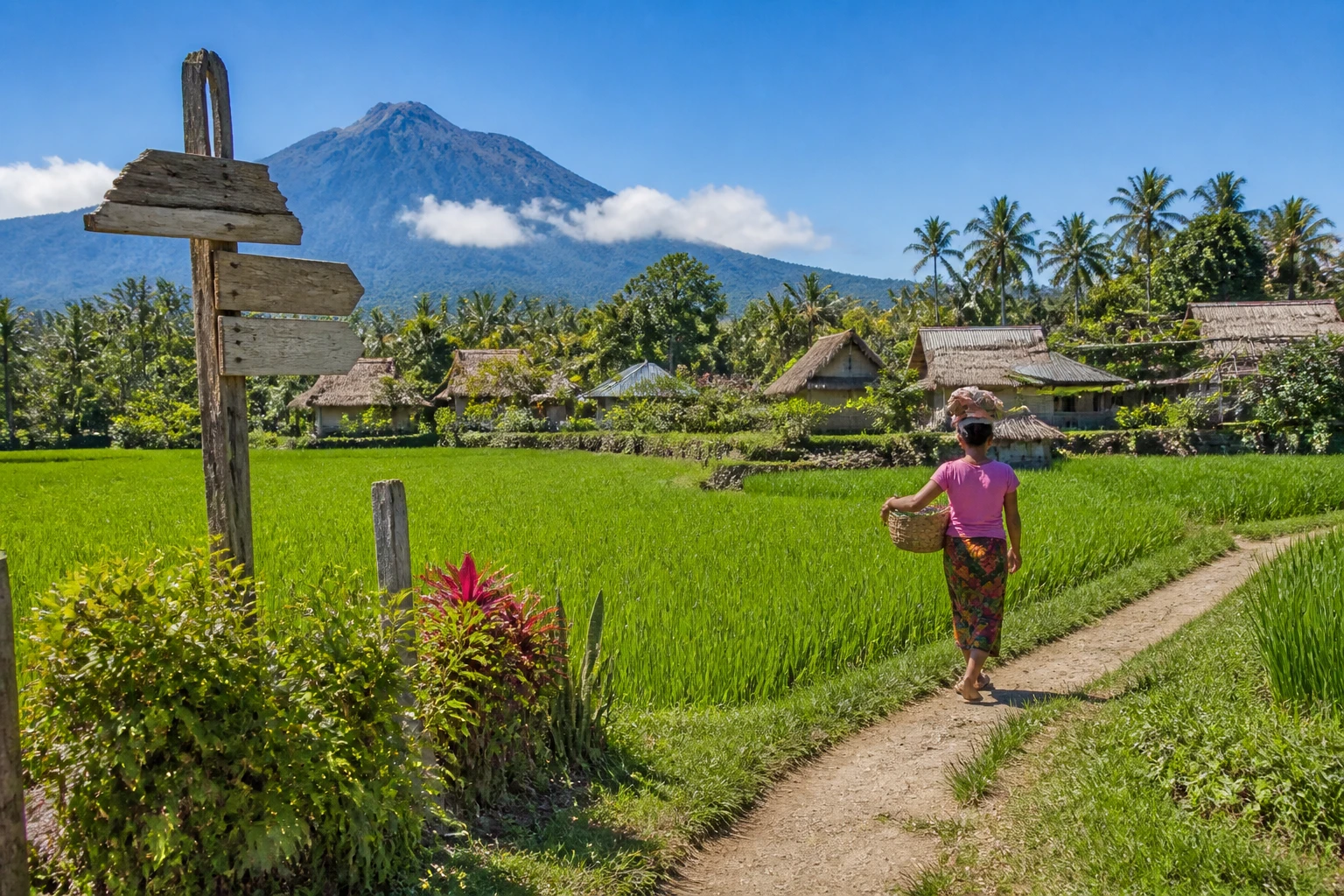 Bali's Health Alert: What It Means for Lombok's Tourism Opportunity
