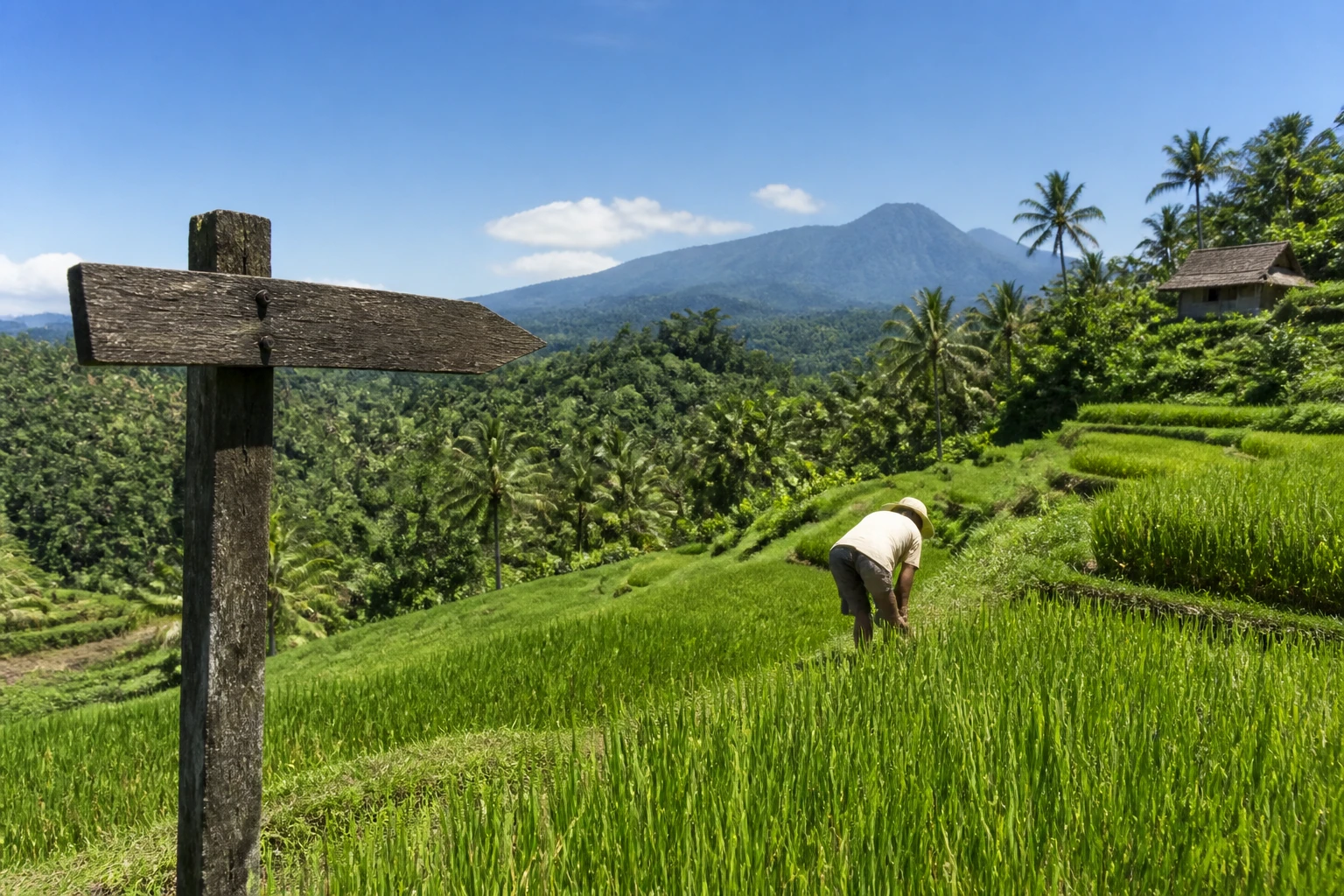 Security Concerns in Bali Accelerate Investor Flight to Lombok