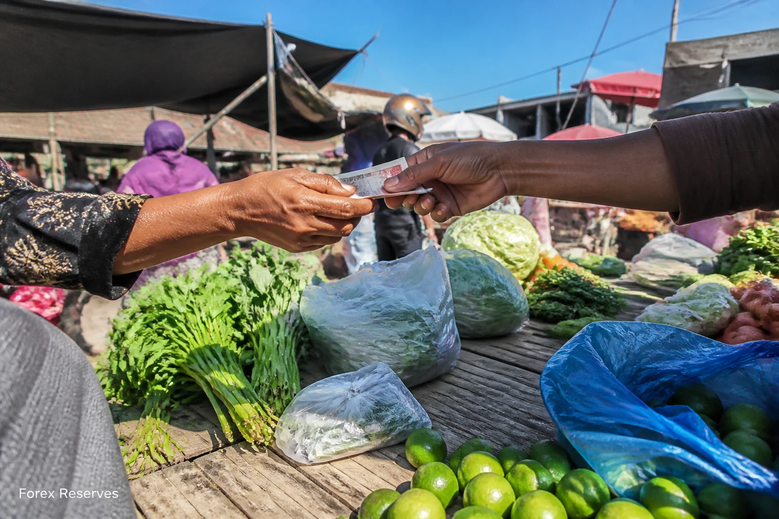 BI Reassures on Forex Reserves: What Declining Cushion Means for Lombok Buyers