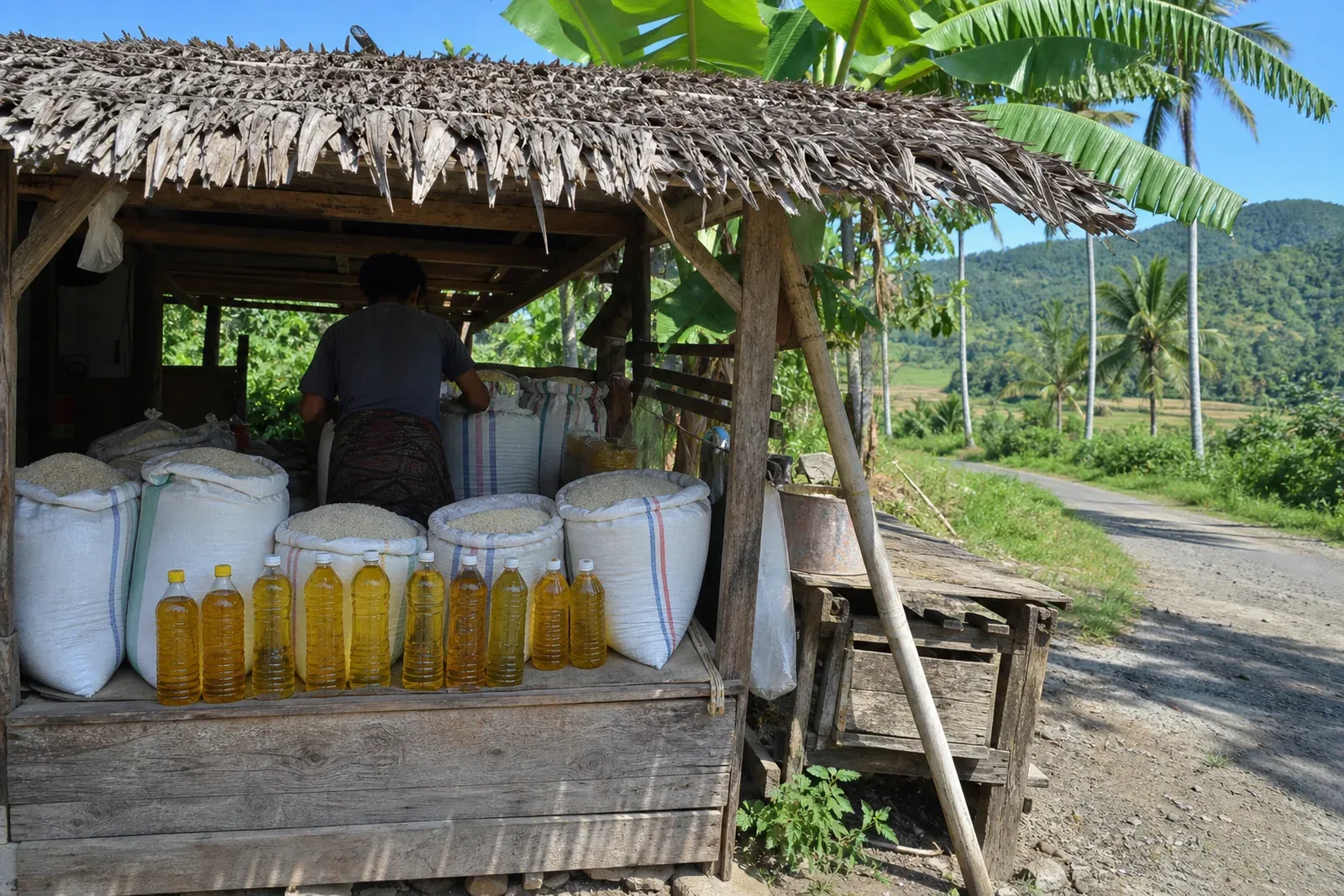 Bulog Says Food Reserves Are Secure After East Nusa Tenggara Earthquake