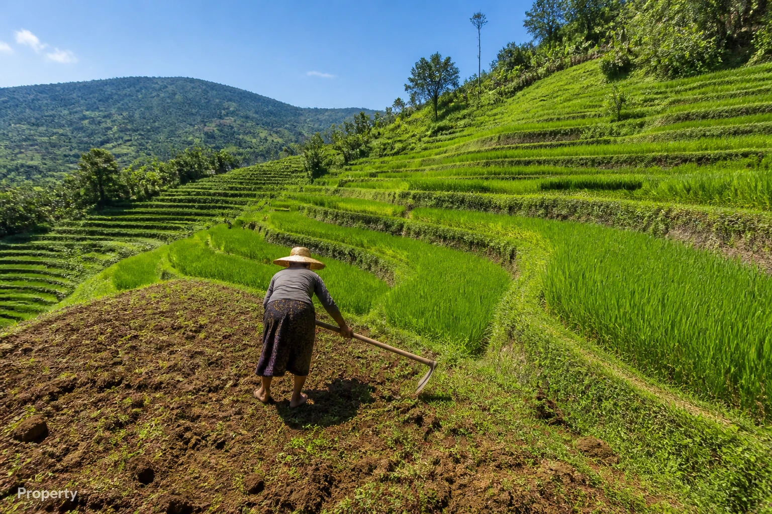 Green-zone and agricultural land in Lombok: can you build on it?