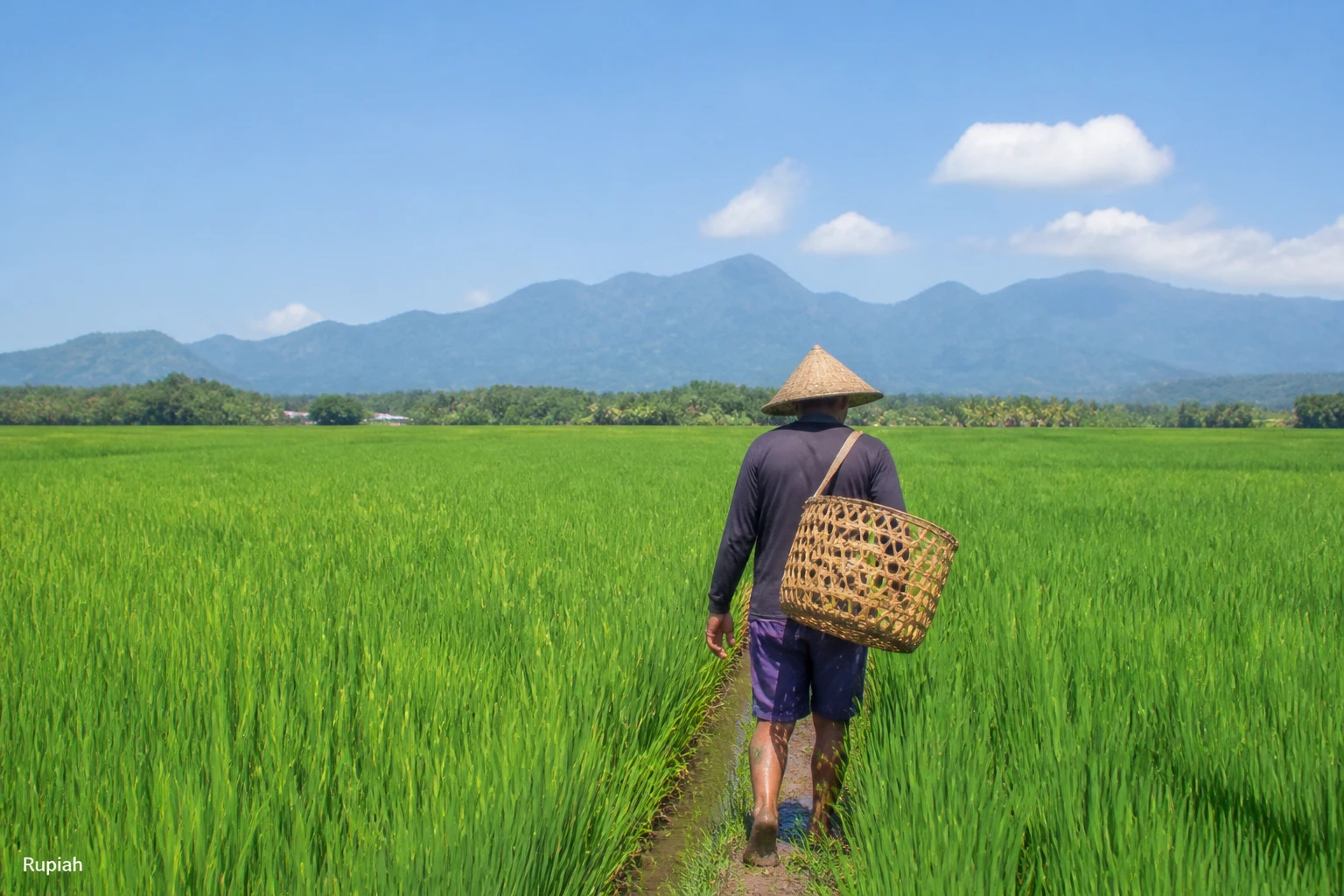 Indonesia's Food Revolution Signals Macro Tailwind for Lombok Investors