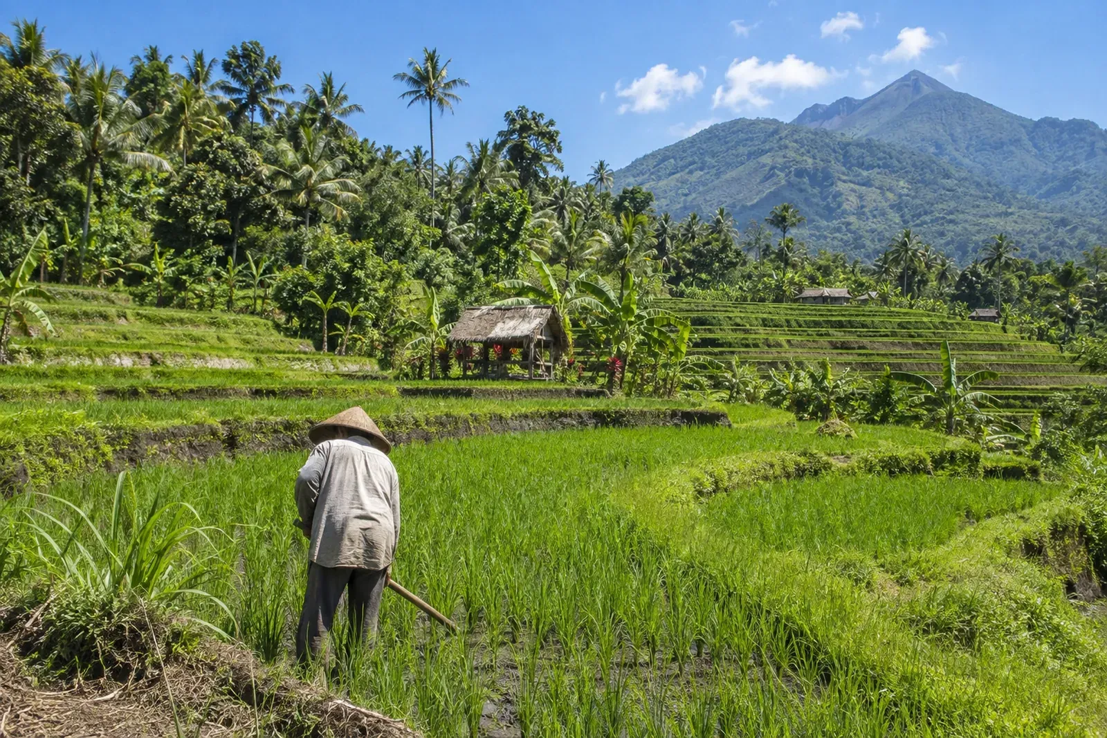 Indonesia’s BRICS Message: Sovereignty Begins at Home