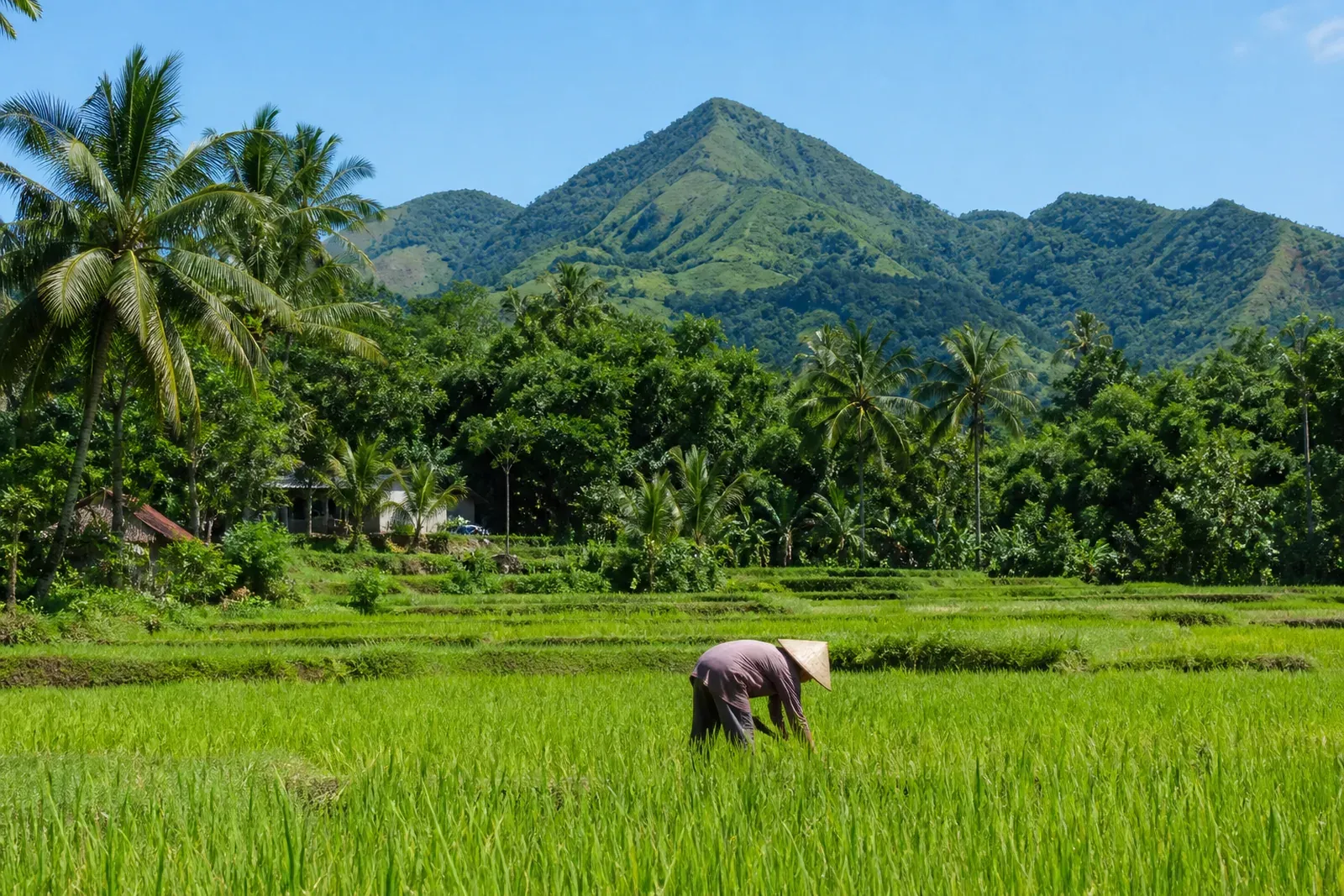 Indonesia’s Growth Signal Strengthens the Case for Long-Term Lombok Exposure