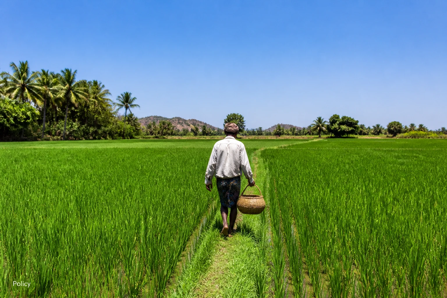 Indonesia's Food-Security Push Stabilises Economy—What It Means for Lombok Investors