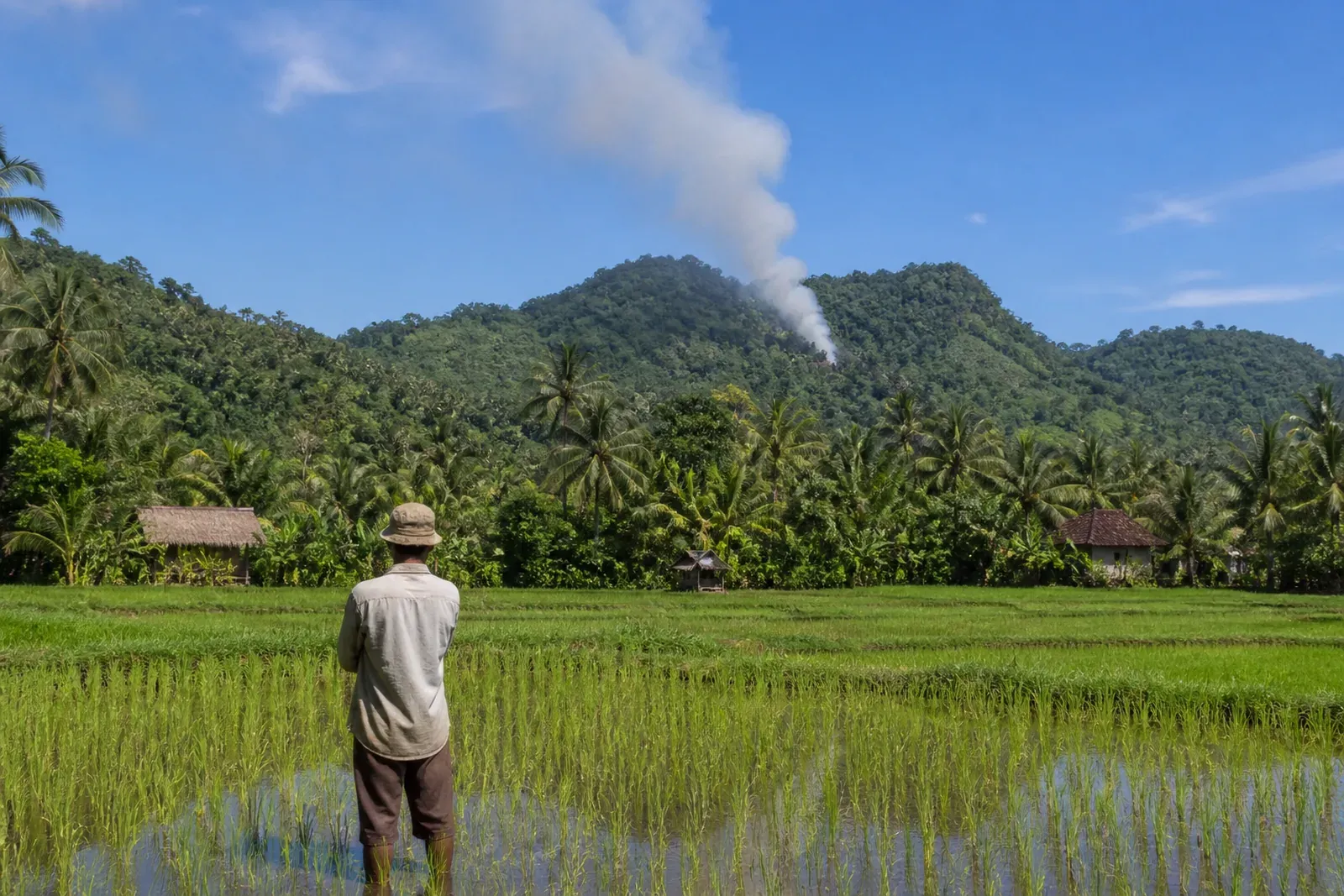 Indonesia Orders Swift Response and Firm Enforcement on Land Fires