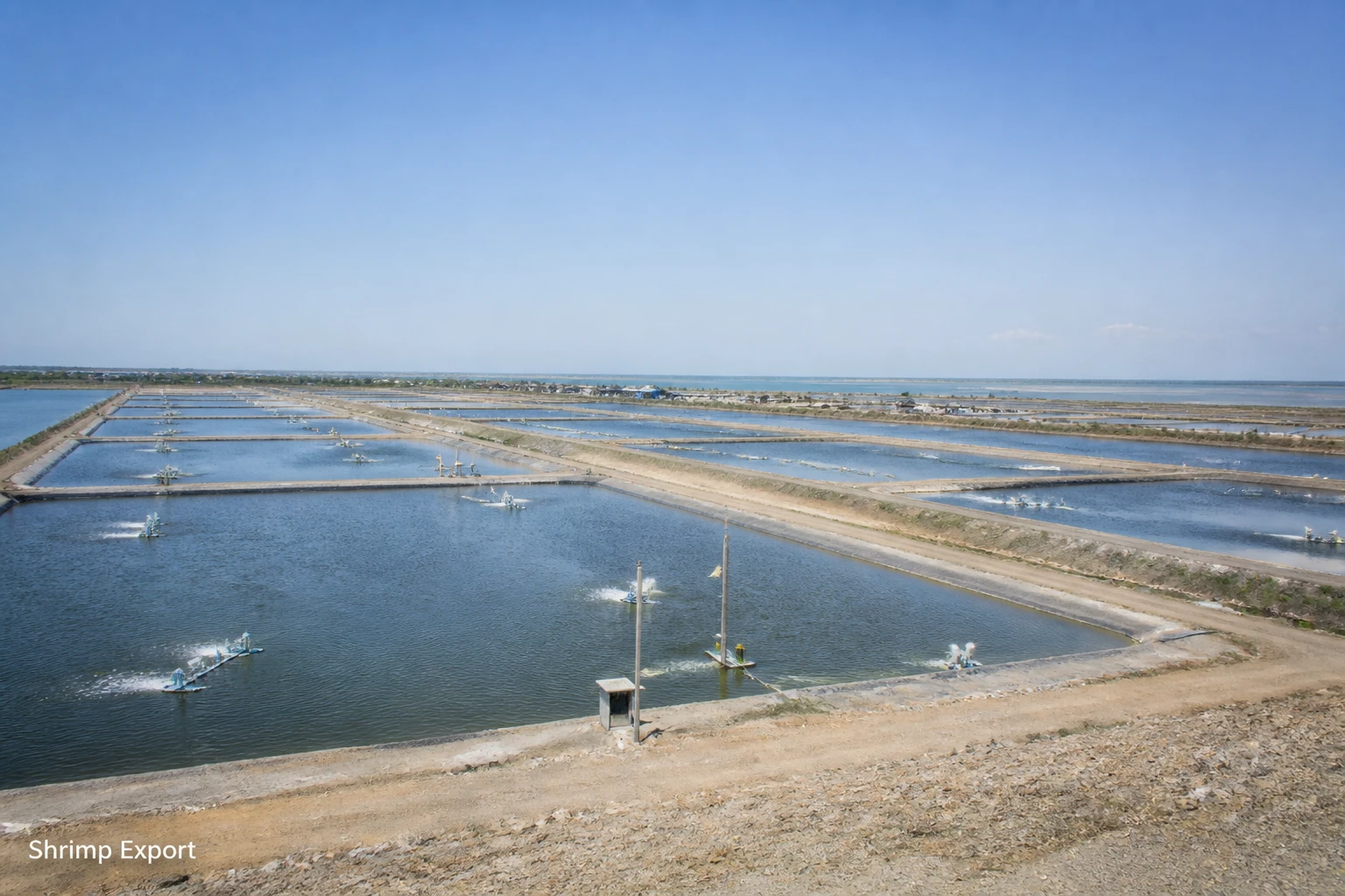 Indonesia’s shrimp expansion signals a new food-export push under Prabowo