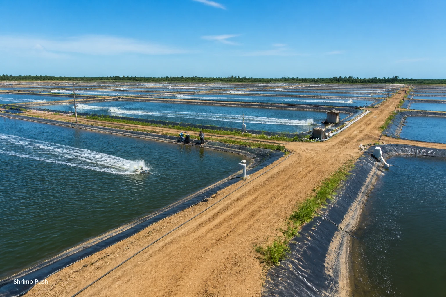 Indonesia’s shrimp push and why investors in Lombok should pay attention
