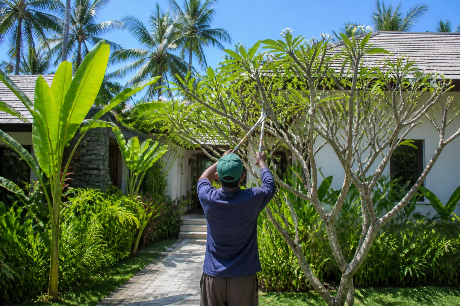 Landscaping a Tropical Villa in Lombok: Costs, Plants and Upkeep