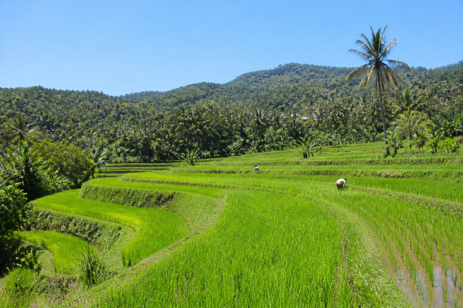 South Lombok property market outlook: what to watch into 2027