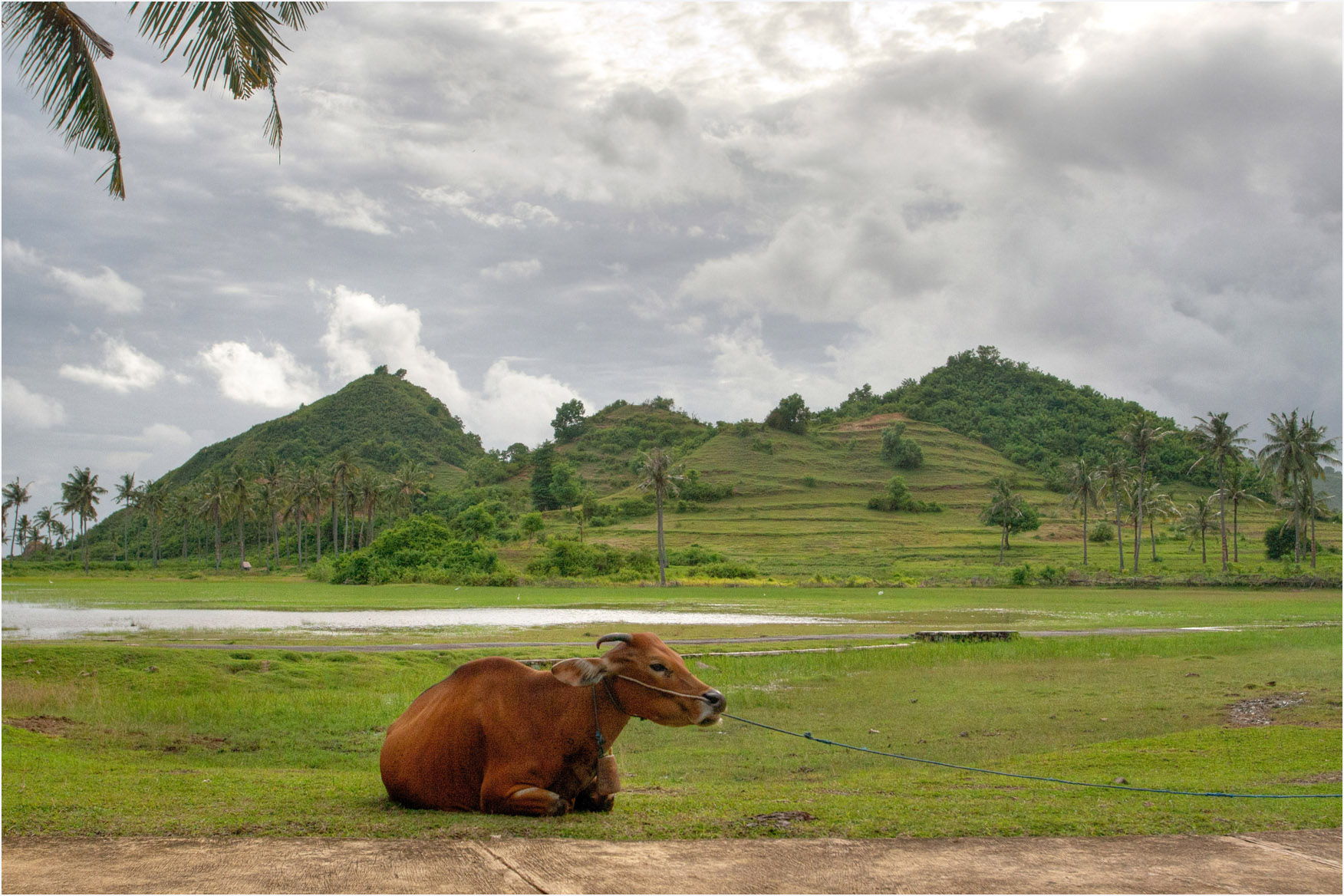 New Roads, New Prices: What the Mandalika Bypass Means for South Lombok Land Values