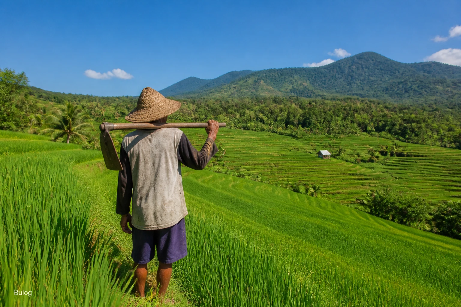 Prabowo Prioritizes Domestic Food Security: What It Means for Lombok's Rural Economy