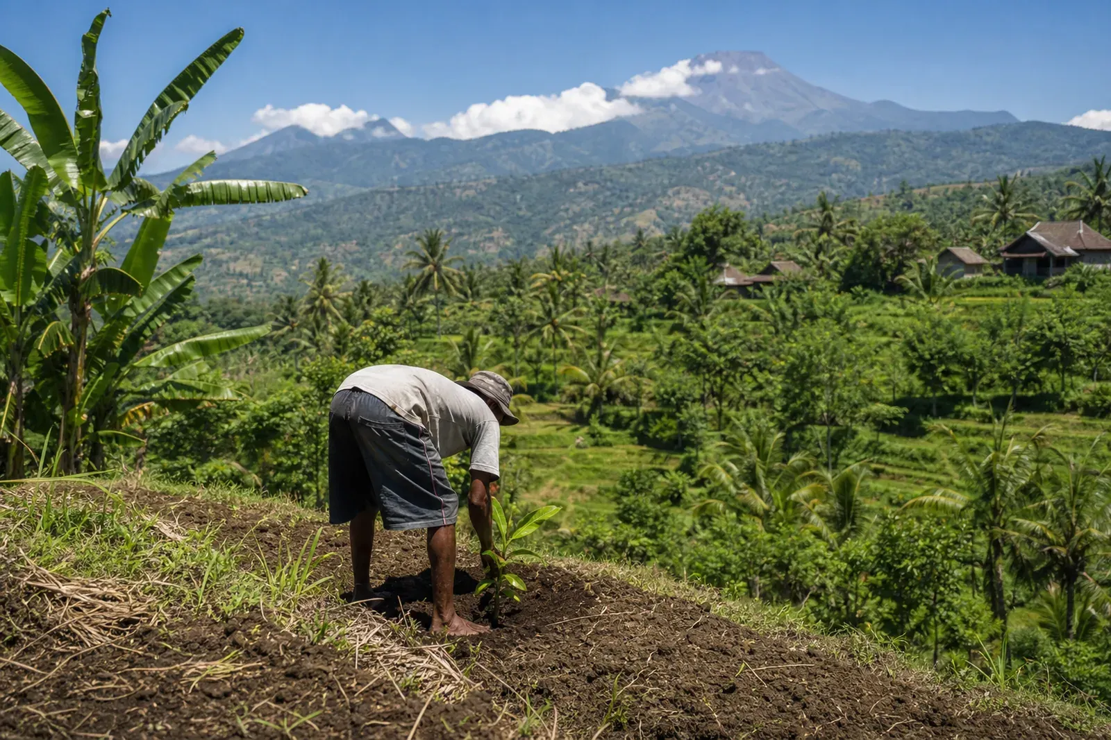 Prabowo Sets a Decade-Long Goal to Re-green Deforested NTT