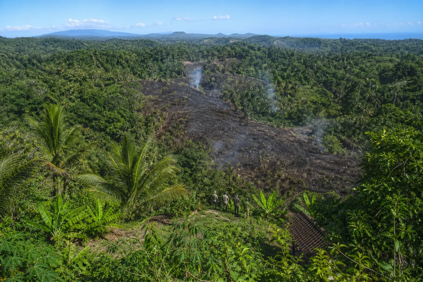 Prabowo Orders Permit Revocation for Firms Linked to Forest Fires