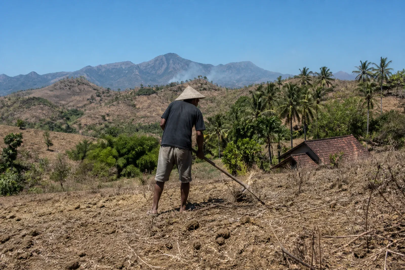Prabowo Seeks Clearer Wildfire Strategy as West Kalimantan Hotspots Mount