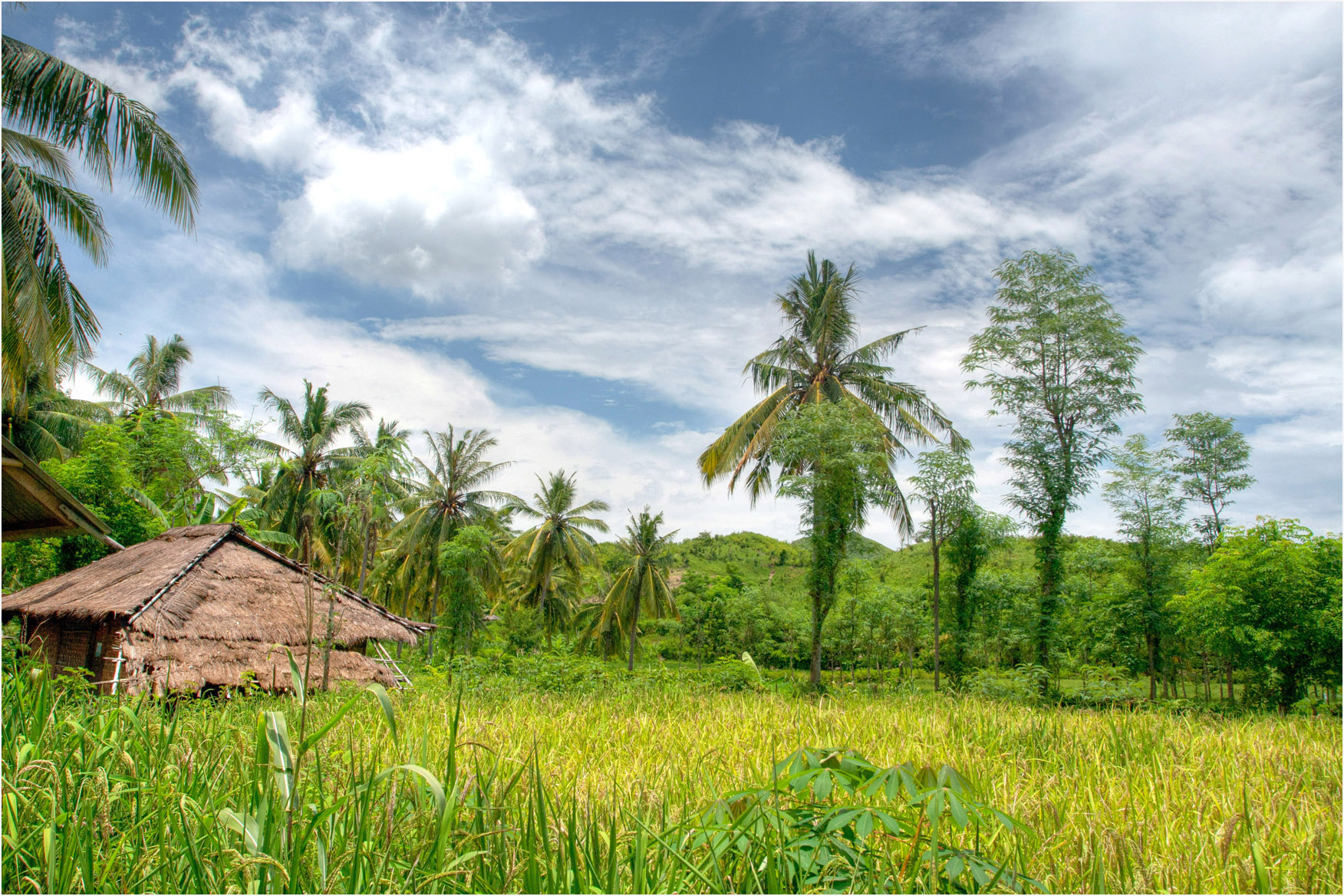 Selong Belanak’s Quiet Appeal Keeps South Lombok in Focus