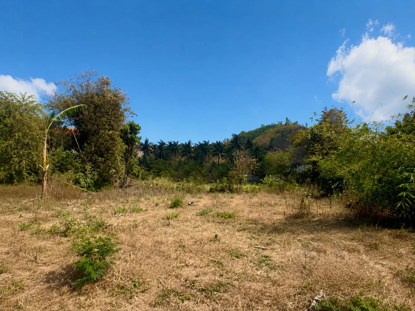 Flat Freehold Land of 17 Are in Mandalika photo