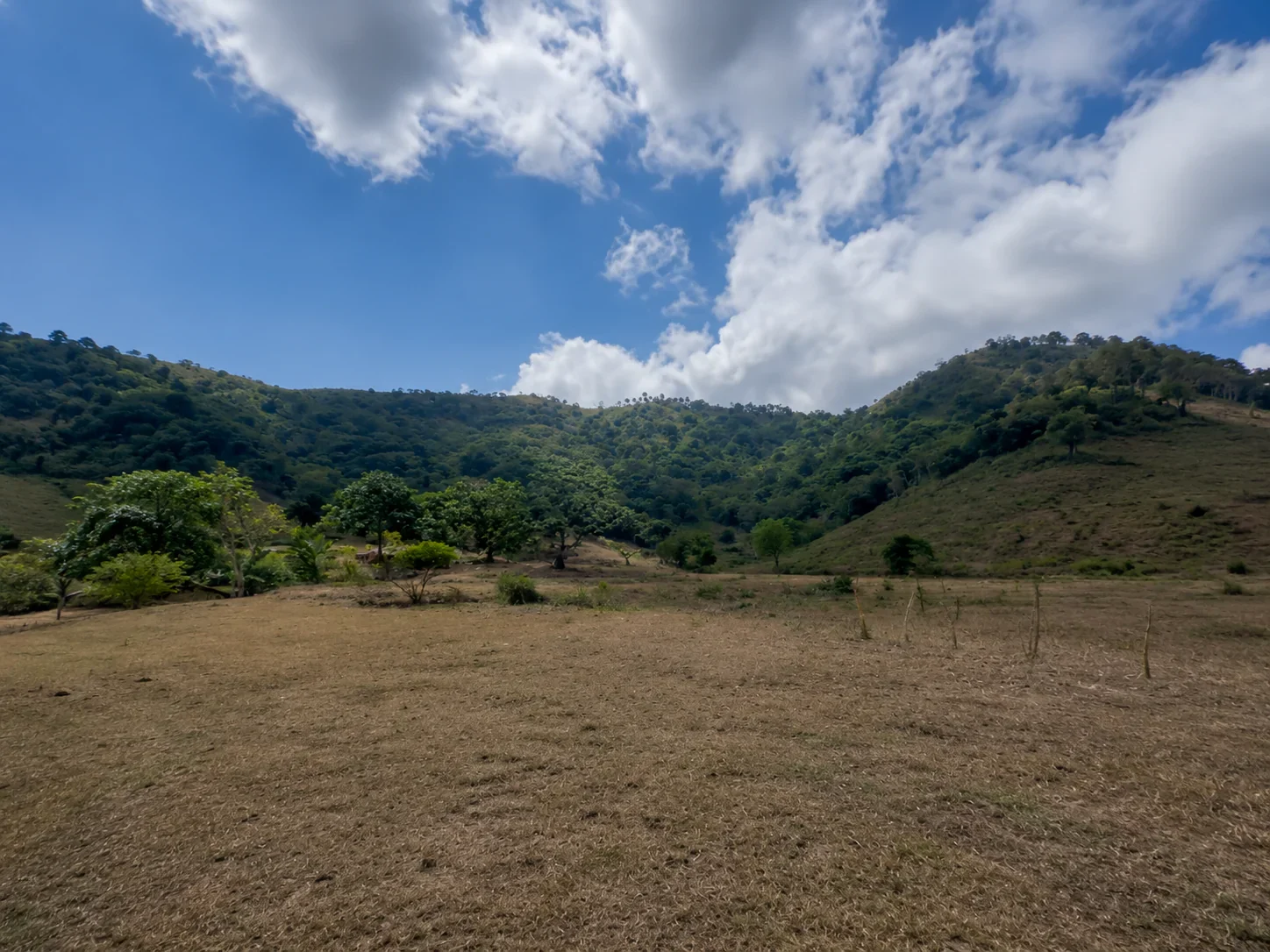 Flat Freehold Land of 59 Are in Selong Belanak photo