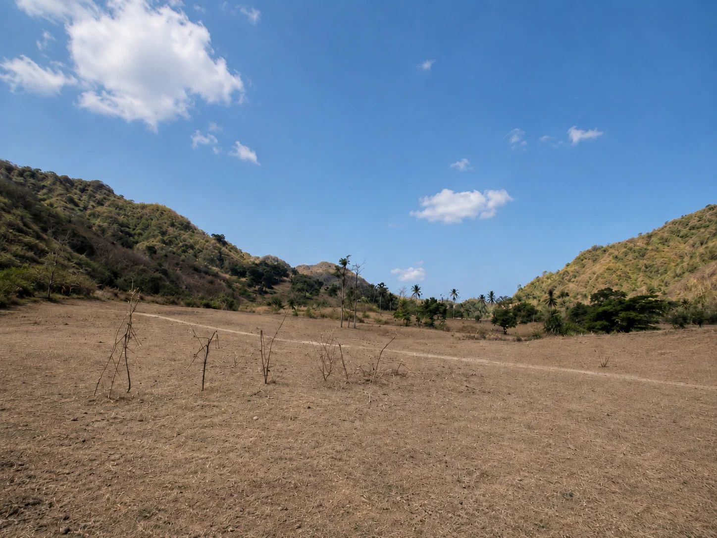Flat Freehold Land of 59 Are in Selong Belanak photo
