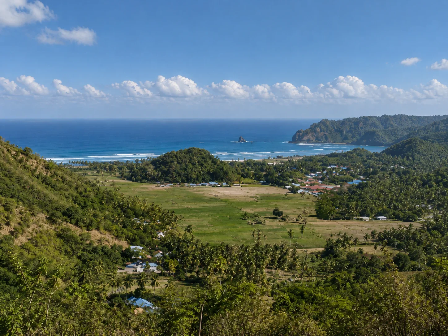 Freehold Land of 25 Hectares with Ocean View at Tampah Hill photo