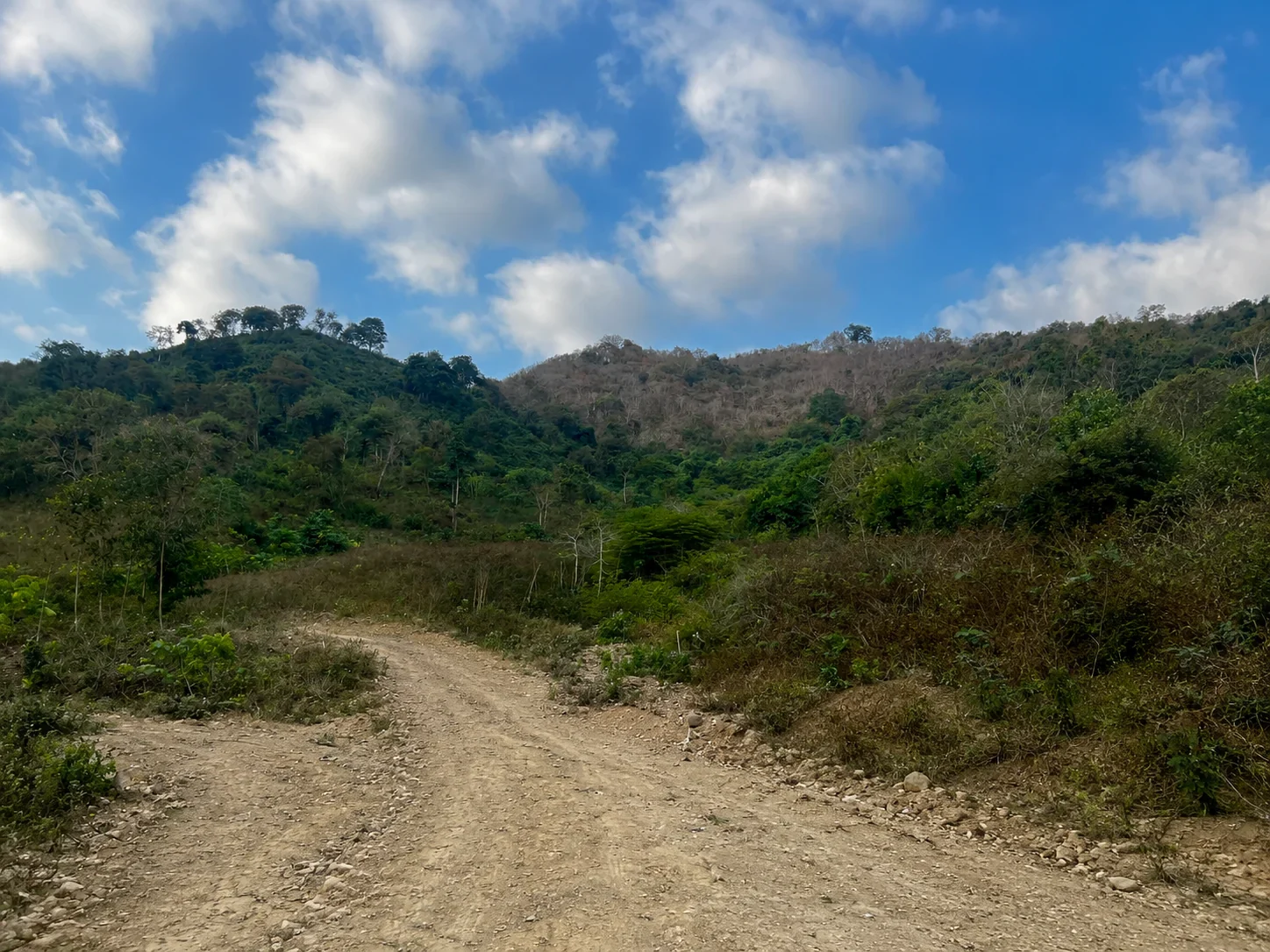 Freehold Land of 25 Hectares with Ocean View at Tampah Hill photo